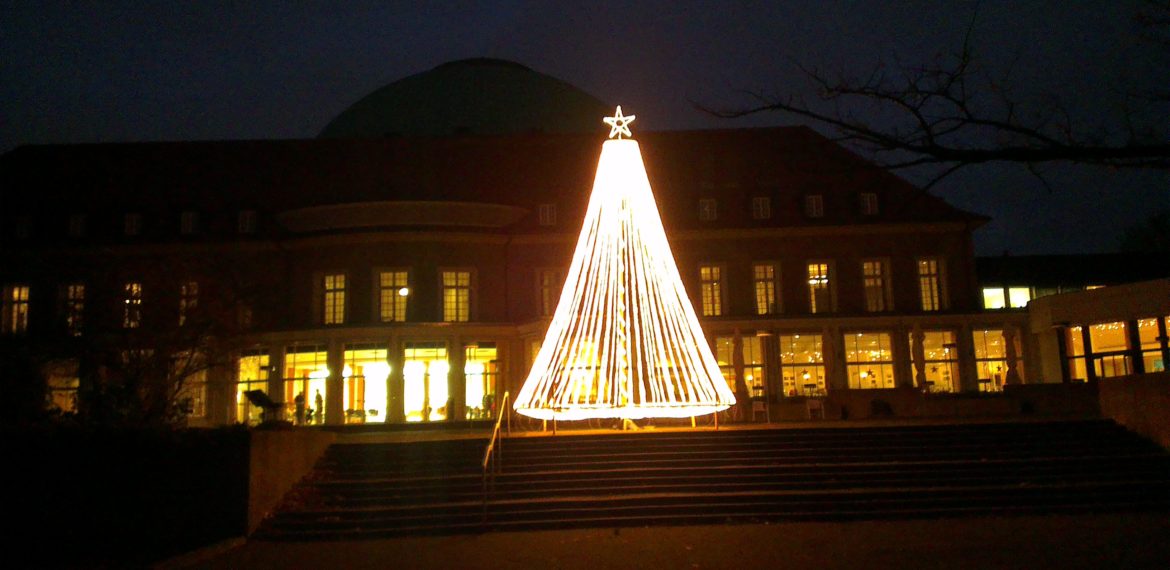 Nachhaltiger Weihnachtsbaum