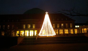 Nachhaltiger Weihnachtsbaum